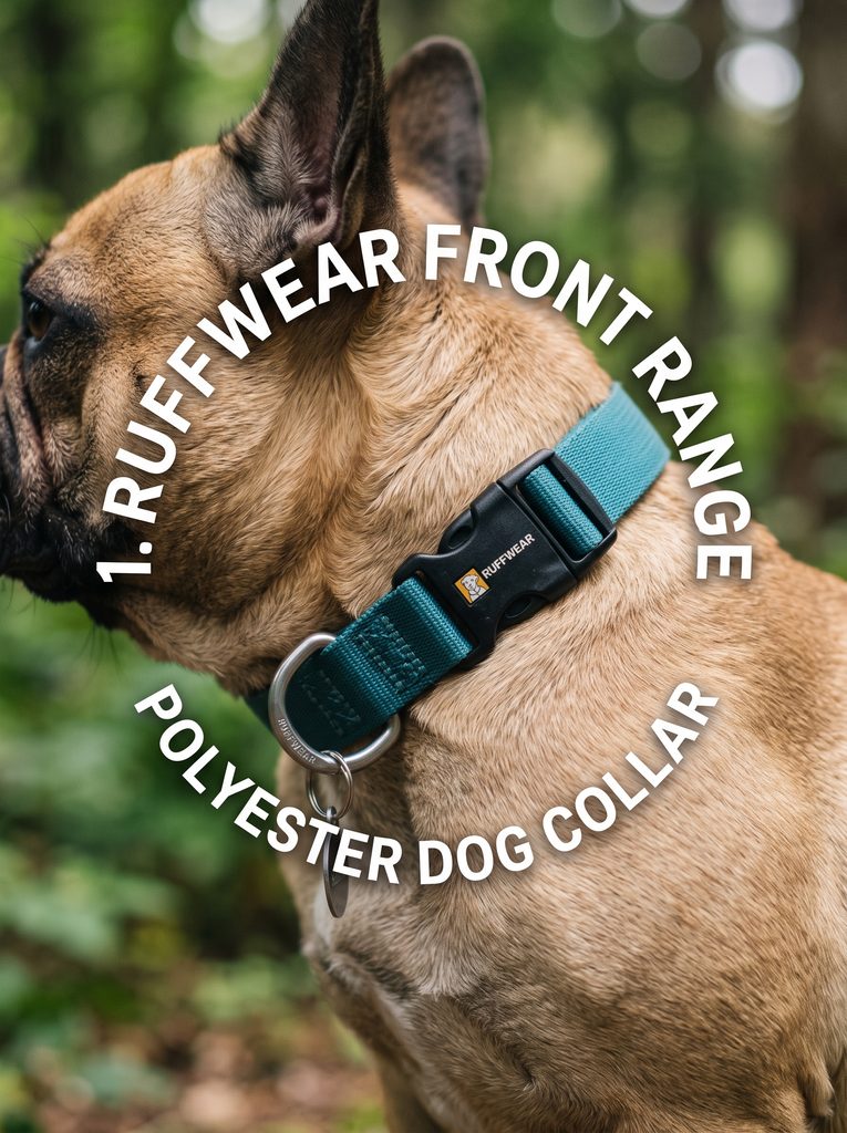 collars for Frenchies